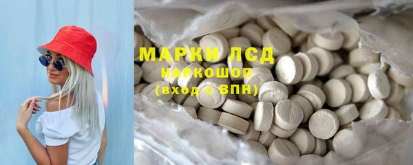 прущие грибы Алексин