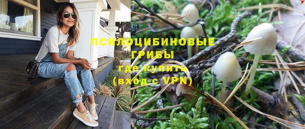 прущие грибы Алексин