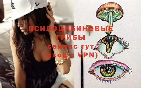 ECSTASY Алексеевка