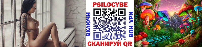 где купить наркотик Жуковский Галлюциногенные грибы MAGIC MUSHROOMS