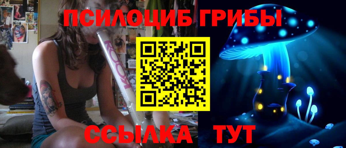 Жуковский  Галлюциногенные грибы ЛСД  Вход с VPN 